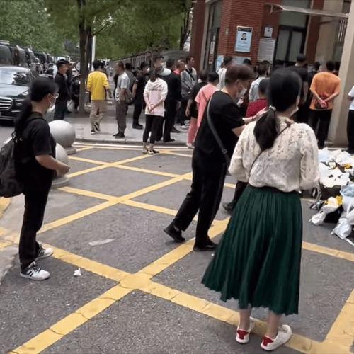 武汉被撞学生爆料事件最新,真相揭开,社会关注与反思并行