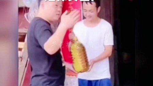 娱乐爆料华哥视频大全最新,视频大全大揭秘!